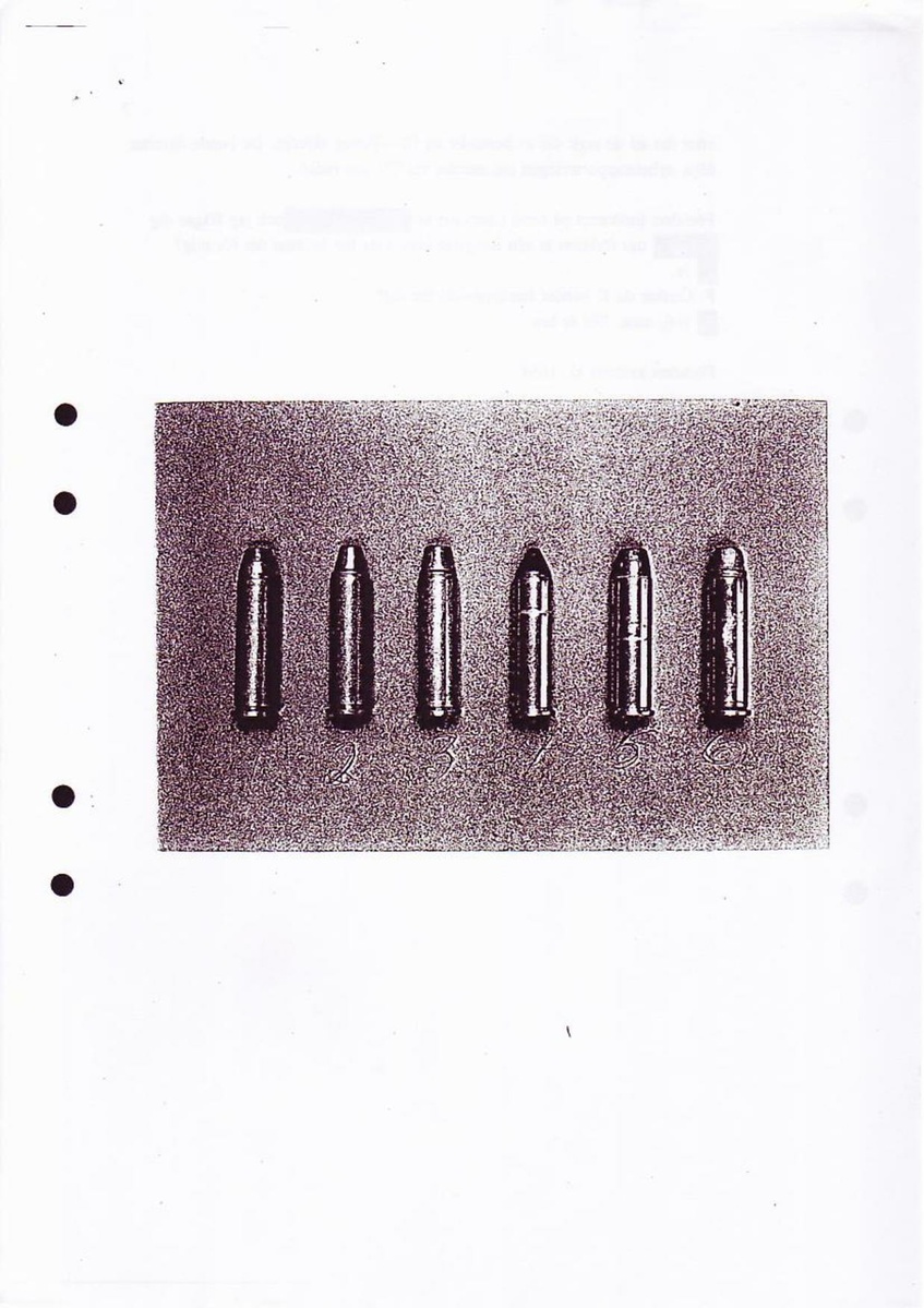 Pol-1994-11-17 XAI16533-00 Förhör Magnuminnehavare.pdf