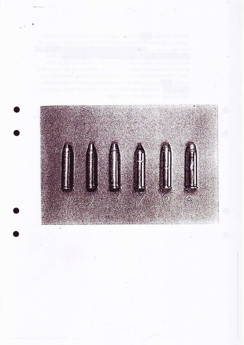 Pol-1994-12-02 XAI16595-00 Förhör Magnuminnehavare.pdf