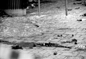 Arbetskopia sdlyH2iBucxFYk WatermarkPreview.jpg