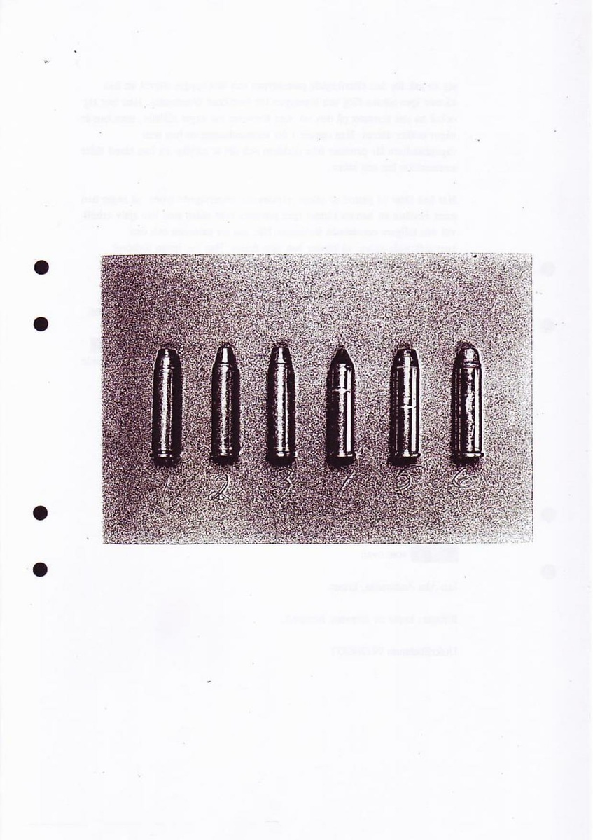 Pol-1994-12-01 XAI16593-00 Förhör Magnuminnehavare.pdf