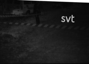 Arbetskopia mordplatsen 2.png