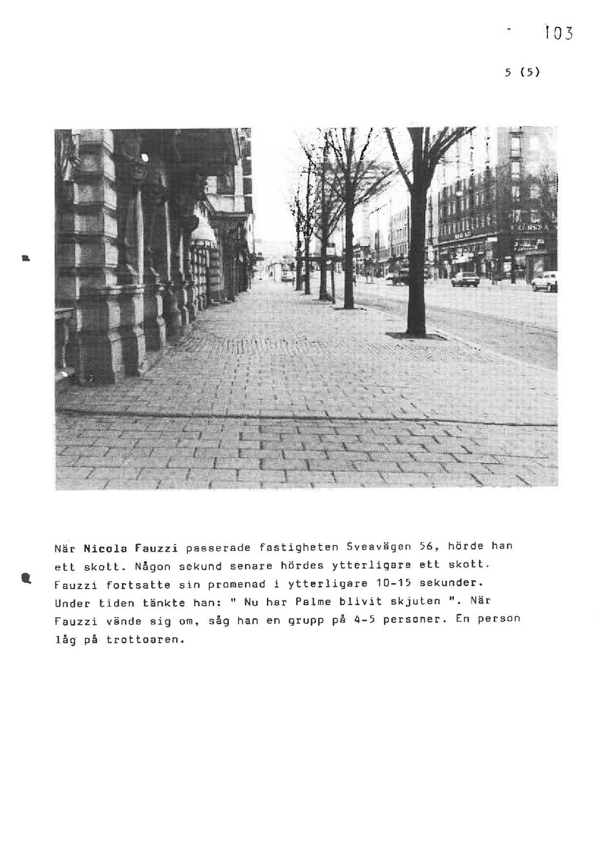 Pol-1986-03 E13-01-E VITTNESFÖRHÖR-Nicola-Fauzzi.pdf