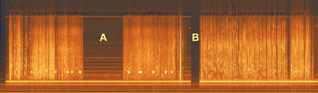 LAC-spektrogram-klipp.png